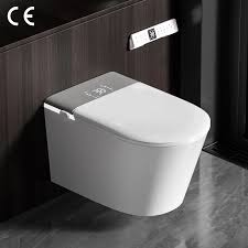 Smart Toilet P trap